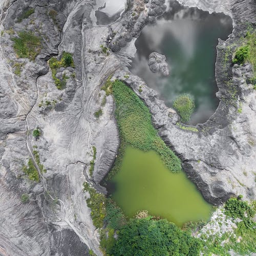 Morbi auctor condimentum rutrum enim lectus pretium amet